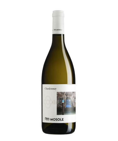 ?CHARDONNAY DOC VENEZIA  |   75 cl 