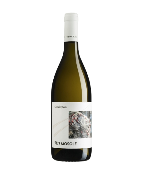 ?SAUVIGNON DOC VENEZIA  |   75 cl 