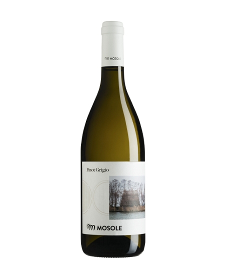 ?PINOT GRIGIO DOC VENEZIA  |   75 cl 