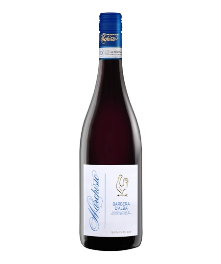 ?Barbera d'Alba DOC Belbeive BIO  |   75 cl 