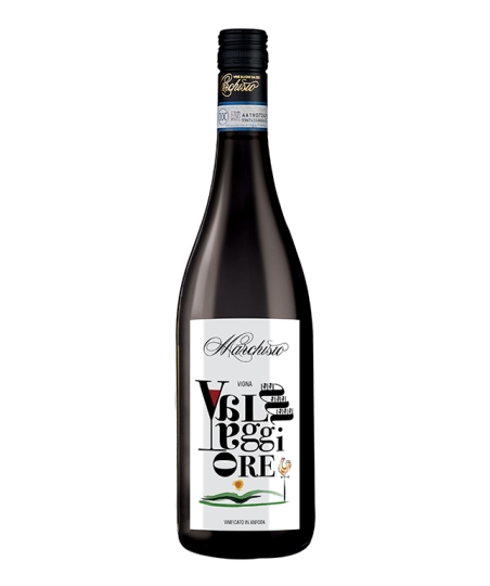 Nebbiolo d'Alba DOC Valmaggiore in anfora BIO  |     75 cl 